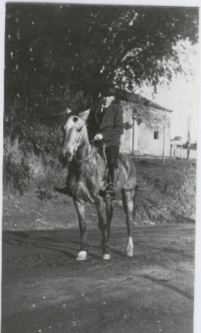 A PERSEGUIÇÃO AOS ALEMÃES NA LOMBA GRANDE II